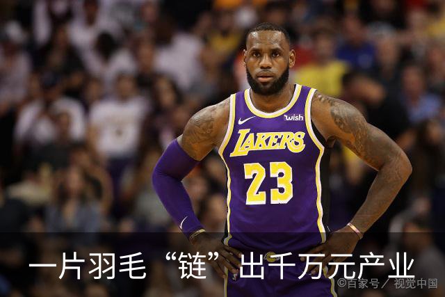 一片羽毛“链”出千万元产业