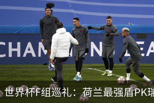 世界杯F组巡礼：荷兰最强盾PK瑞典犀利刀 日本短板明显