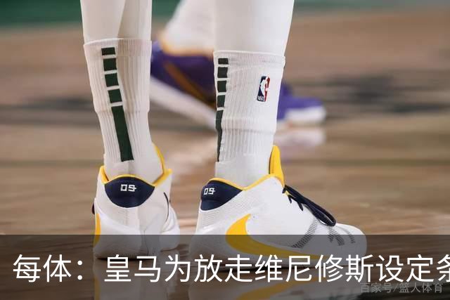每体：皇马为放走维尼修斯设定条件 报价不得低于1.6亿欧