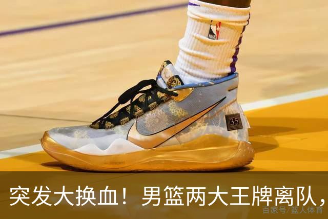 突发大换血！男篮两大王牌离队，高诗岩悬了，徐杰、张镇麟迎良机
